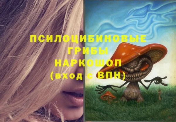 ПСИЛОЦИБИНОВЫЕ ГРИБЫ Бугульма