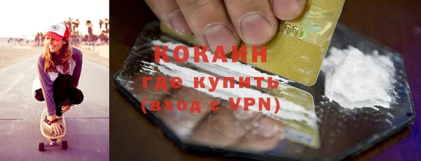 сатива Богданович
