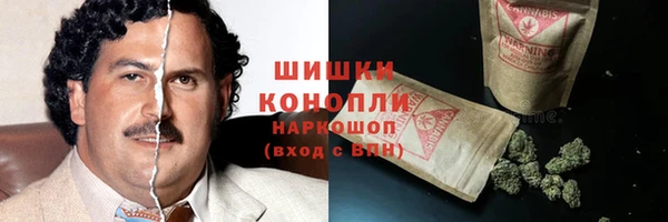 ECSTASY Богородск