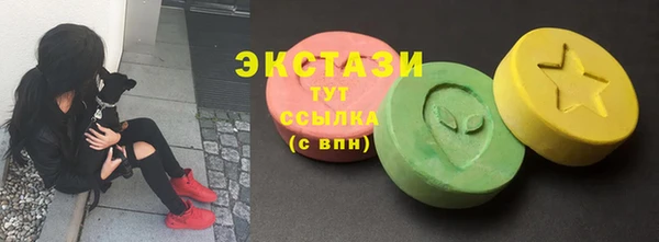 ECSTASY Богородск
