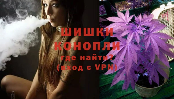 ECSTASY Богородск