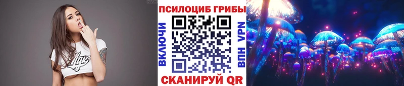 Галлюциногенные грибы Magic Shrooms  блэк спрут tor  Катав-Ивановск 